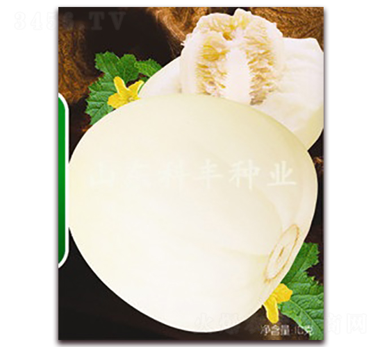 ���Ǵ�-��ϷN��-���S�N�I(y��)