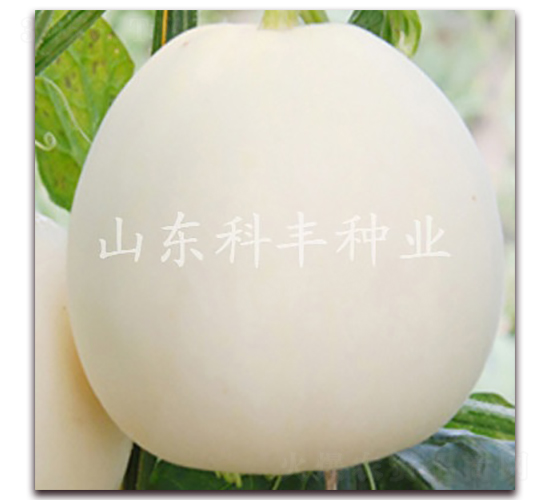 ����һ̖(h��o)-��ϷN��-���S�N�I(y��)