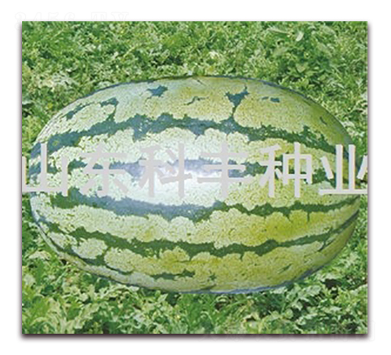 ���Sһ̖-���ϷN��-���S�N�I(y��)