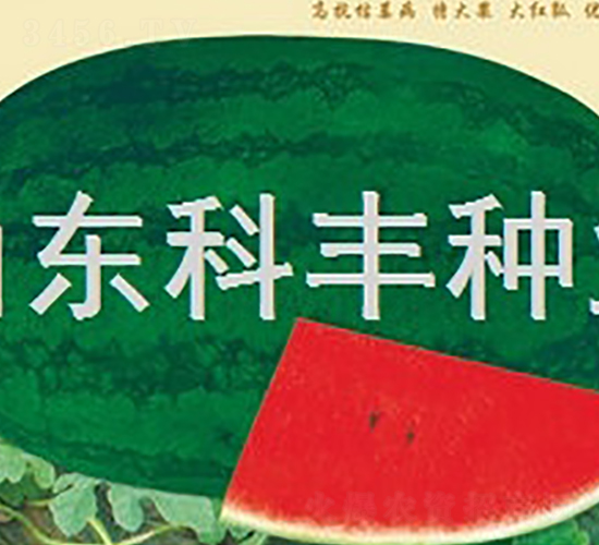 ���ز����-���ϷN��-���S�N�I(y��)