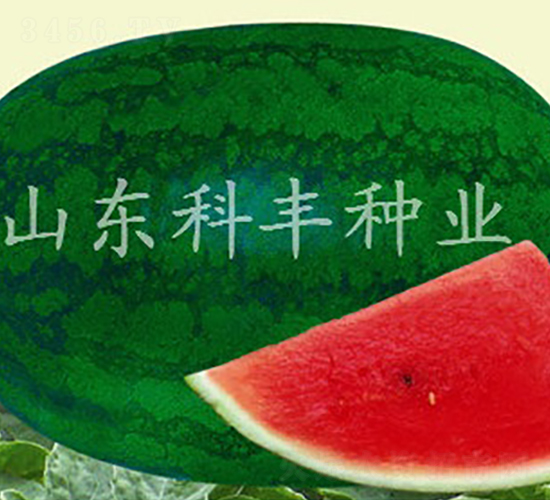 �߿����B��-���ϷN��-���S�N�I(y��)