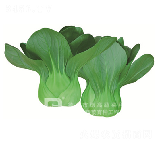 �¸�T668-�๣�˷N��-�¸�