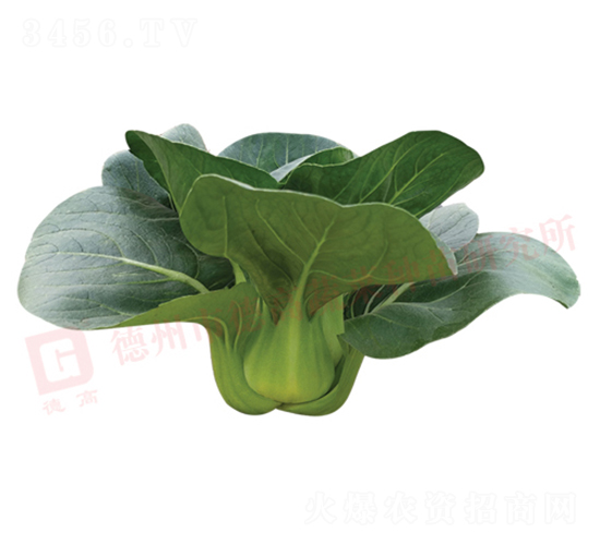 �¸�1226-�๣�˷N��-�¸�