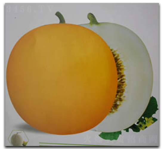 ʥ���̖-��ϷN��