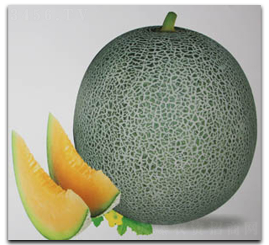 ʥ����̖(h��o)-��ϷN��