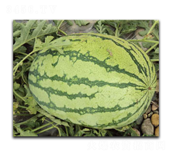 ���r(n��ng)��ϵ��-���ϷN��