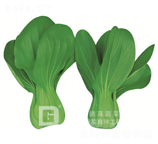 ���_������-�¸��A��-�๣�˷N��-�¸�