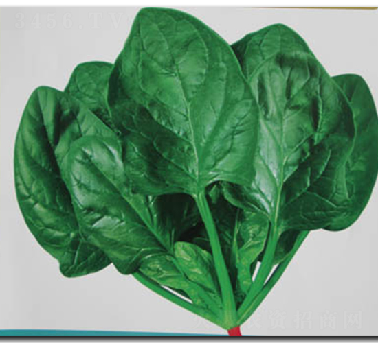 ����-���˷N��