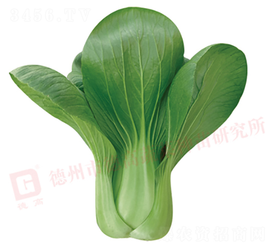 ���_������-�¸�328-�๣�˷N��-�¸�