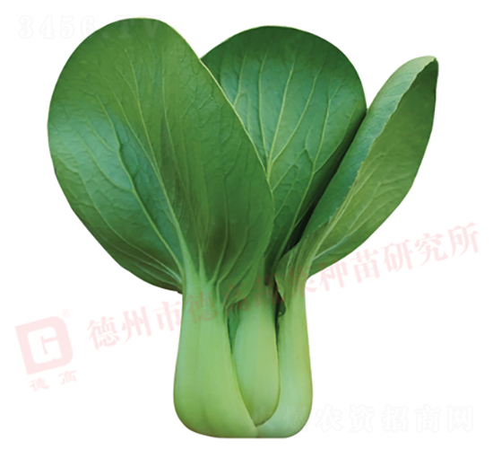 ���_������-�¸�725-�๣�˷N��-�¸�