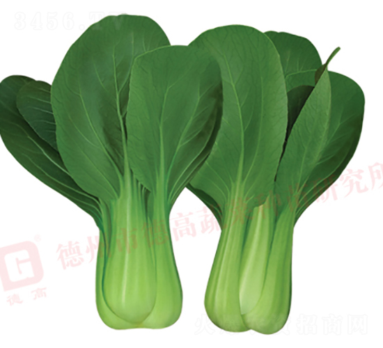 �ľG2̖-�๣�˷N��-�¸�