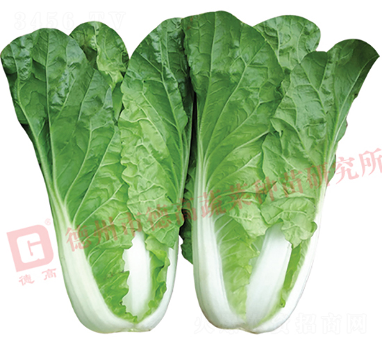 ̩�(y��ng)-��˷N��-�¸�