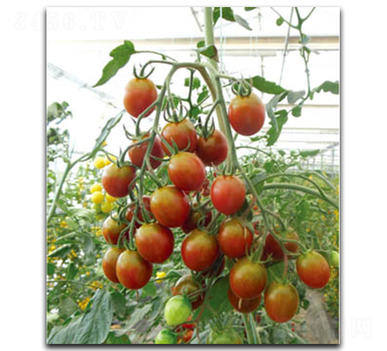 142-���ѷN��