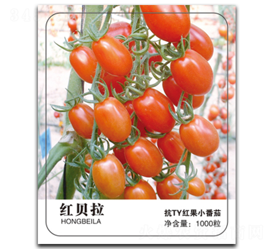 �tؐ��-���ѷN��