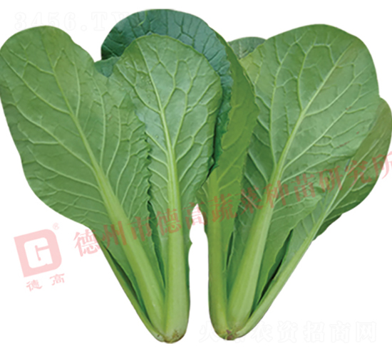 �n�G-��˷N��-�¸�