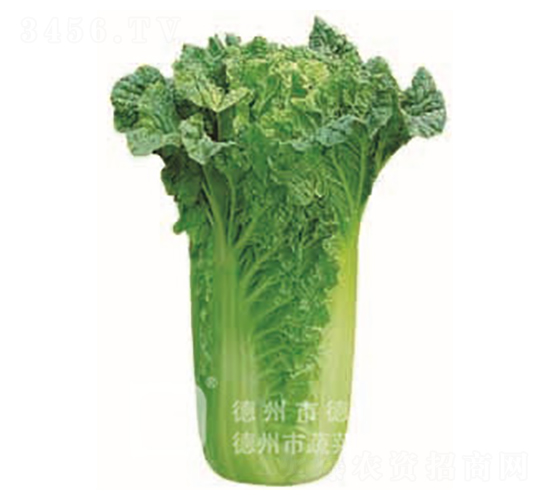 �����~�ײ�-���A45-��ײ˷N��-�¸�