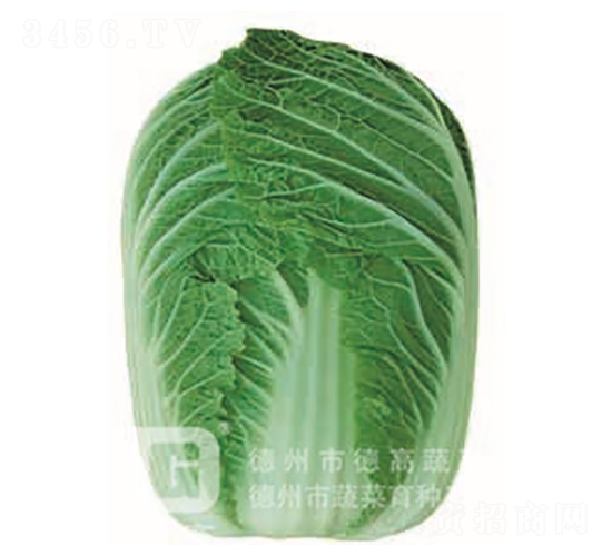 �F��2̖-��ײ˷N��-�¸�