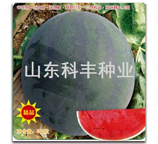 ī��-���ϷN��-���S�N�I(y��)