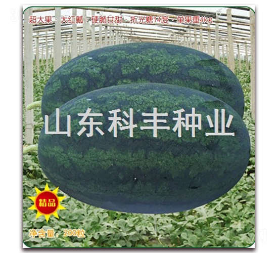 �ش���F��-���ϷN��-���S�N�I(y��)