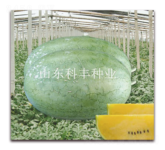 �S���-���ϷN��-���S�N�I(y��)