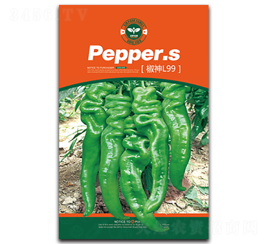 ����L99-�����N��-�Έ@����