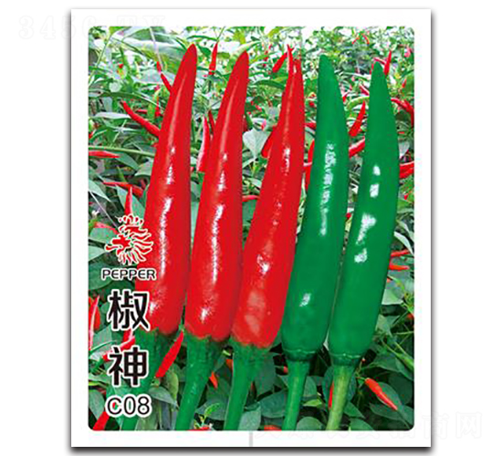 ����C08-�����N��-�Έ@����