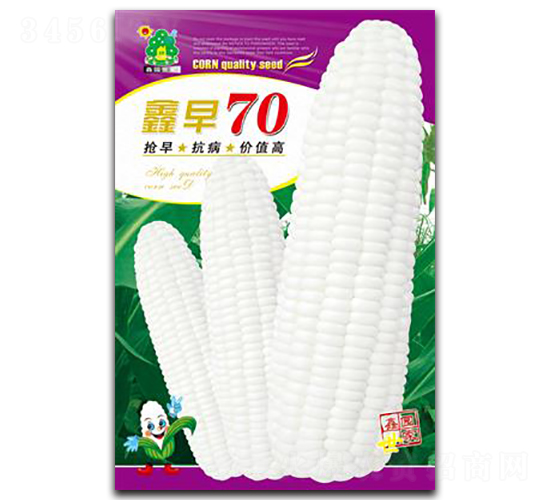 ����70-���׷N��-�Έ@����