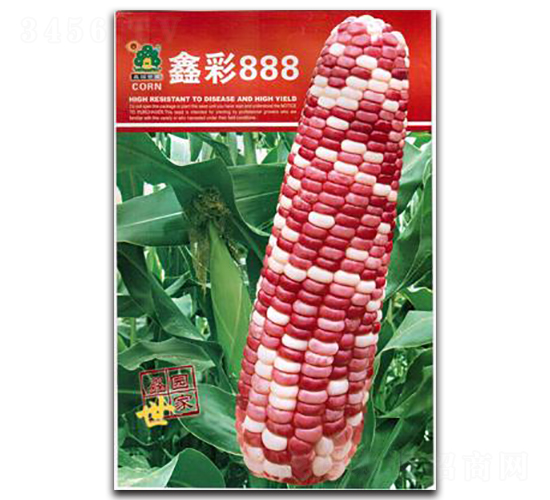 �β�888-���׷N��-�Έ@����