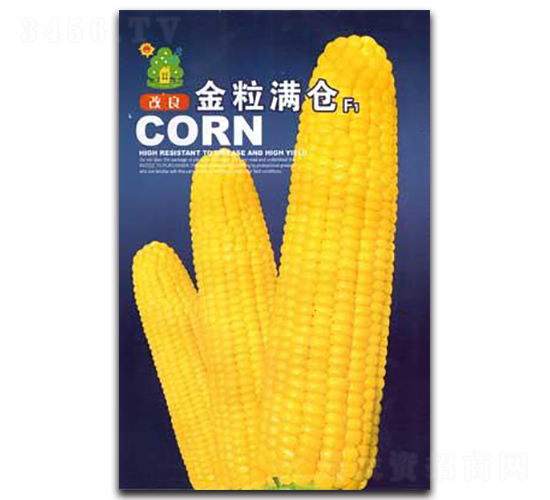 ���������M�}(c��ng)-���׷N��-�Έ@����