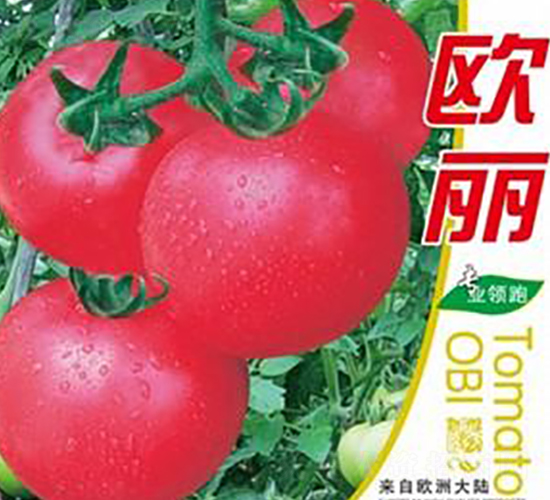 �W��-���ѷN��-�Έ@����