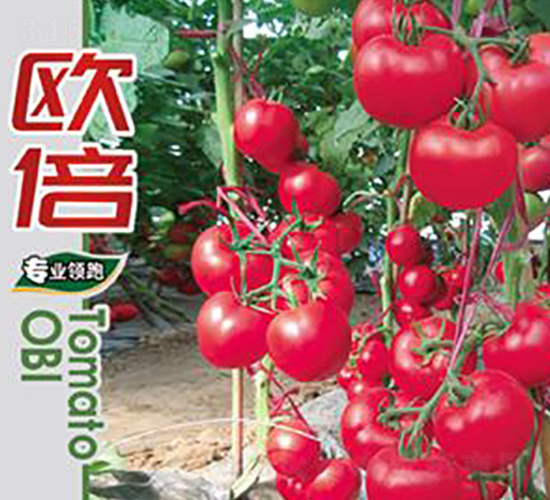 �W��-���ѷN��-�Έ@����