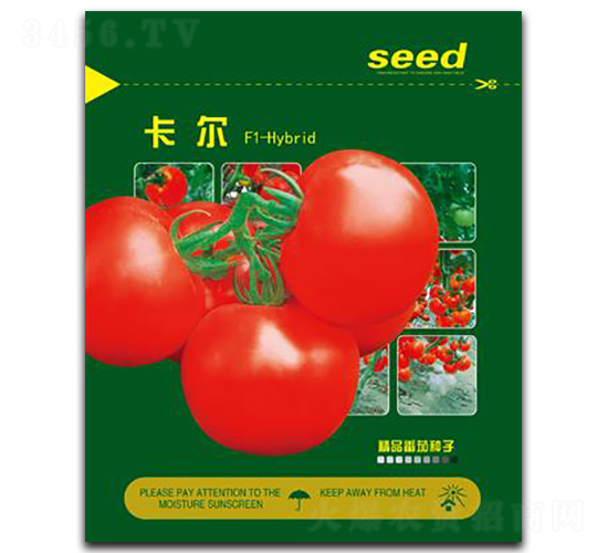 ����-���ѷN��-�Έ@����