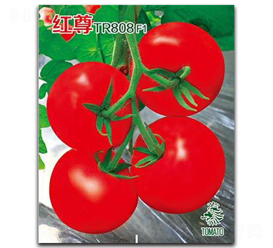 �t��TR808-���ѷN��-�Έ@����