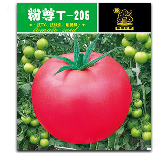 ����T-205-���ѷN��-�Έ@����