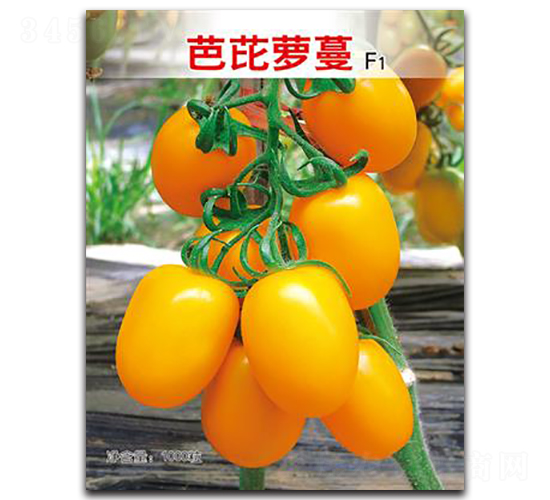 �����}��-���ѷN��-�Έ@����