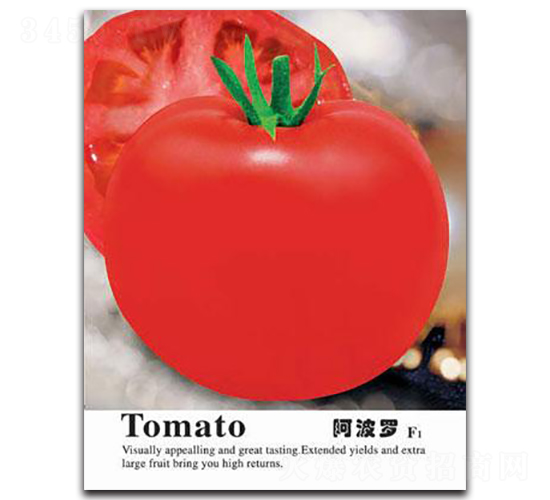 �����_-���ѷN��-�Έ@����