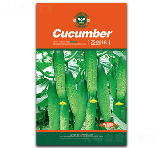 ʥ��18-�S�ϷN��-�Έ@����