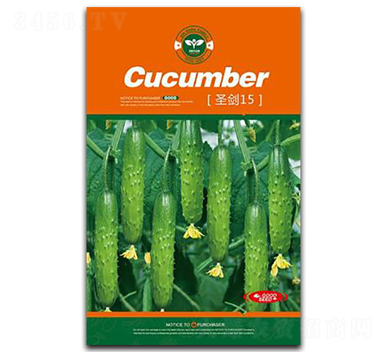 ʥ��15-�S�ϷN��-�Έ@����