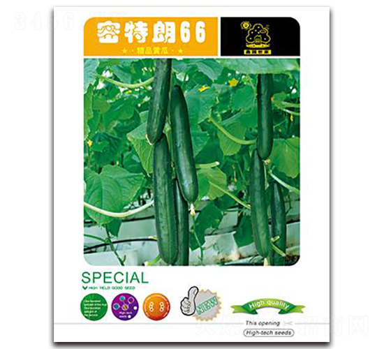 ������66-�S�ϷN��-�Έ@����