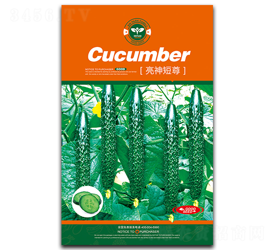 �������-�S�ϷN��-�Έ@����