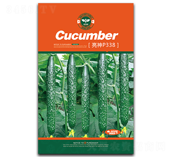 ����P338-�S�ϷN��-�Έ@����