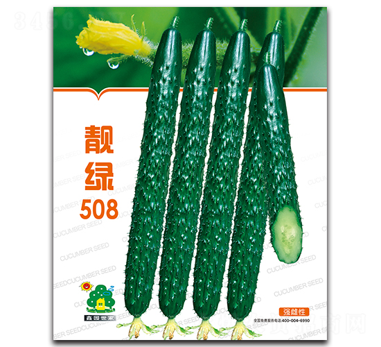 �n�G508-�S�ϷN��-�Έ@����