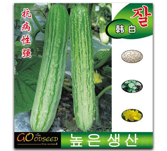 �n��-�S�ϷN��-�Έ@����