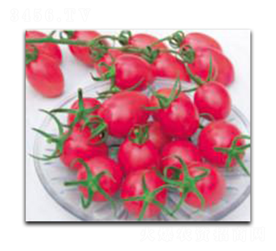 ������ö�̖-���ѷN��