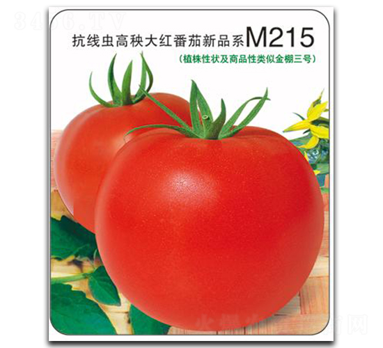 ����M215-���ѷN��