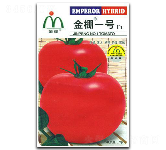 ����һ̖-���ѷN��