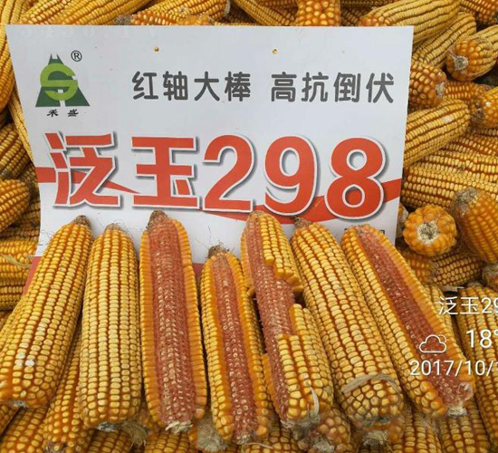 ����298-���׷N��