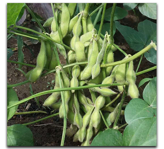 �F��72-ë���N��-ï�A�N�I(y��)