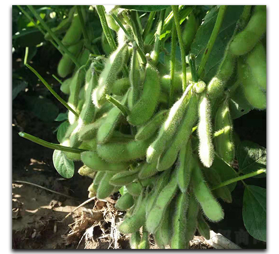 �ձ���-ë���N��-ï�A�N�I(y��)