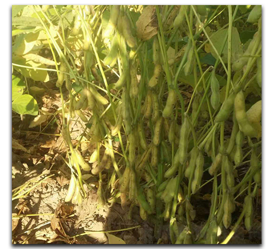 ����1̖-ë���N��-ï�A�N�I(y��)